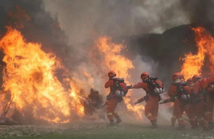 在移動(dòng)餐廳帳篷里聚會(huì)體驗(yàn)怎么樣?